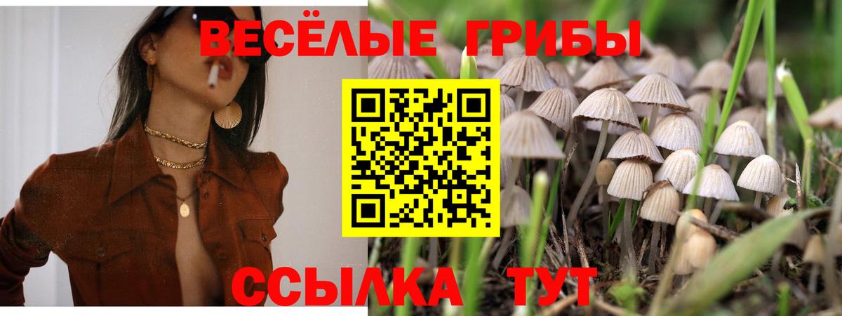 Галлюциногенные грибы мицелий Богданович