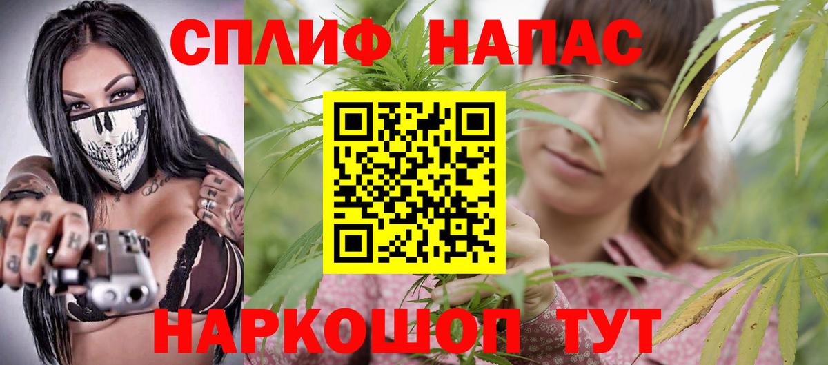 Каннабис индика Богданович